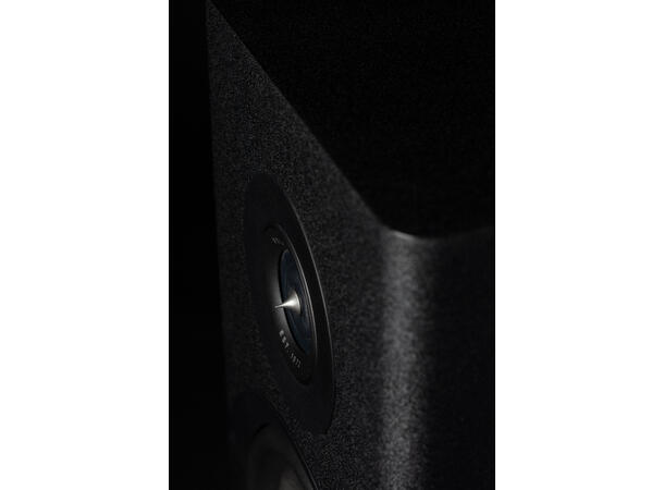Polk Reserve R200 - sort Stativhøyttaler 
