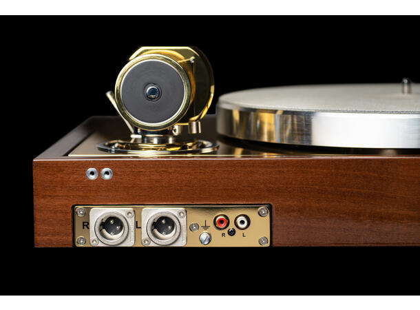 The Classic Reference - acacia/brass HG Uten pickup