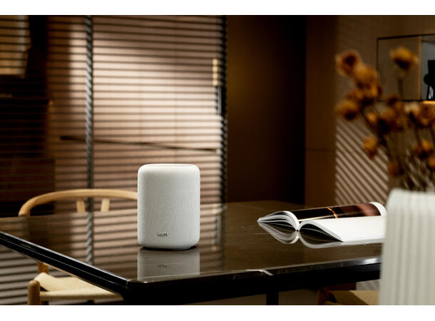 WiiM Sound Lite - hvit Trådløs multiromshøyttaler 