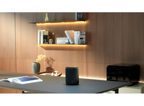 WiiM Sound Lite - hvit Trådløs multiromshøyttaler 