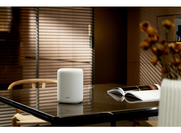 WiiM Sound Lite - sort Trådløs multiromshøyttaler