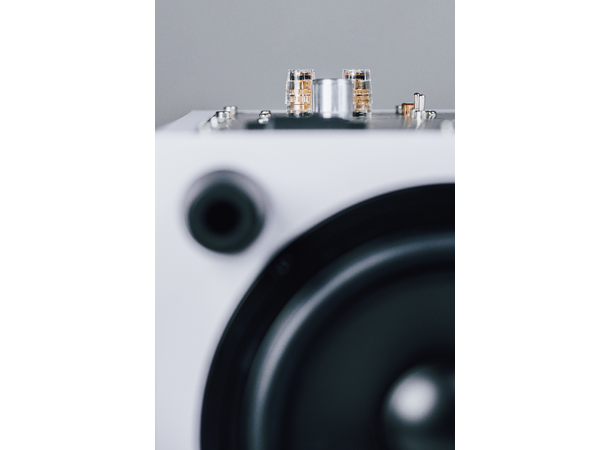 Pro-Ject Sub Box 50 E - hvit høyglans Kompakt subwoofer