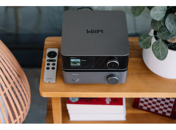 WiiM Vibelink - grå Effektforsterker for WiiM 