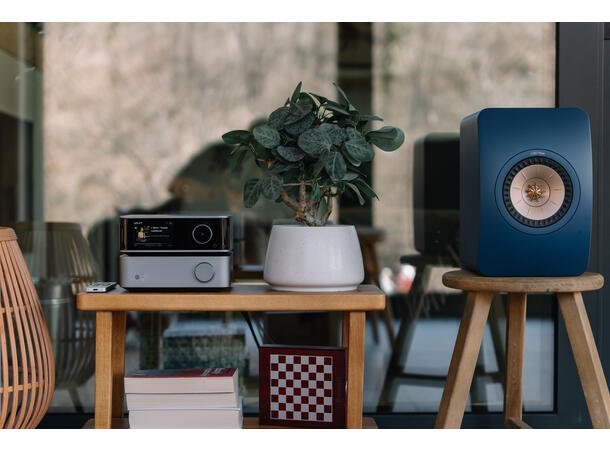 WiiM Vibelink - grå Effektforsterker for WiiM