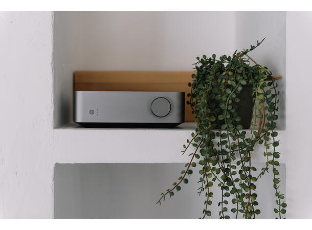 WiiM Vibelink - grå Effektforsterker for WiiM 