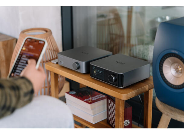 WiiM Vibelink - grå Effektforsterker for WiiM 