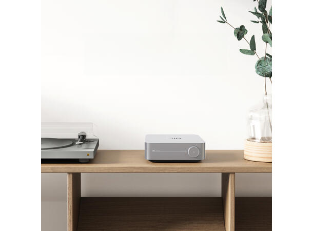 WiiM Amp - Sølv Strømmeforsterker