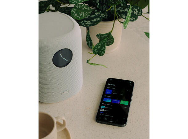 WiiM Sound - hvit Trådløs multiromshøyttaler