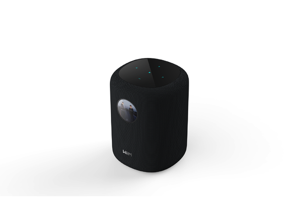 WiiM Sound - sort Trådløs multiromshøyttaler 