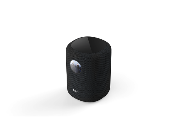 WiiM Sound - sort Trådløs multiromshøyttaler