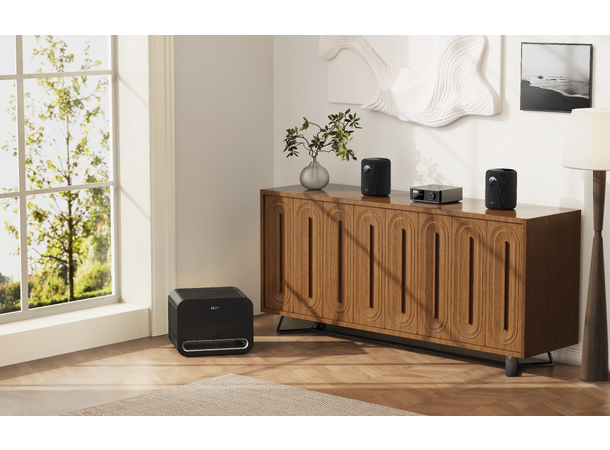 WiiM Sound - sort Trådløs multiromshøyttaler