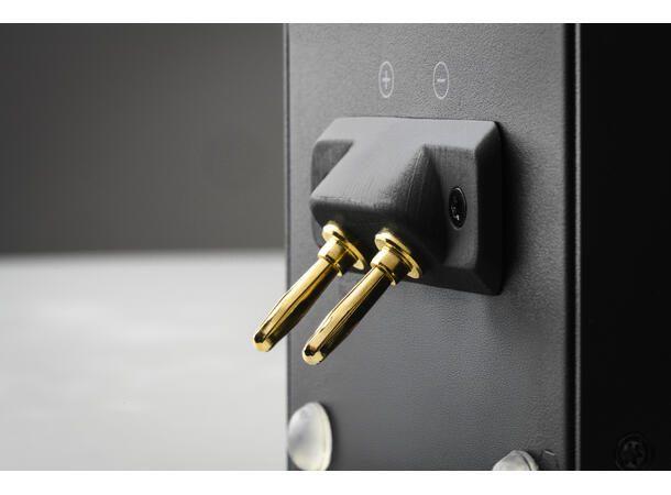 Pro-Ject Wireless Box E - sort Strømmeforsterker med høyttalerkobling 