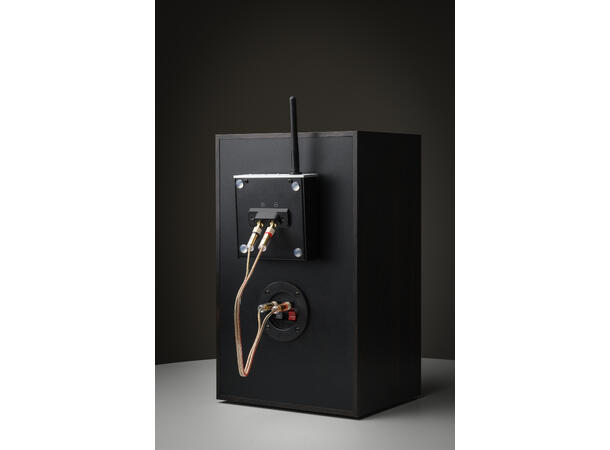 Pro-Ject Wireless Box E - sort Strømmeforsterker med høyttalerkobling 