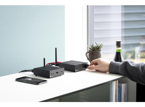 Pro-Ject Stream Box S2 - sølv Streamer