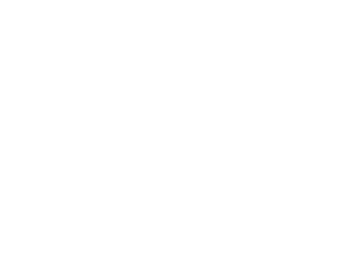 Polk Audio