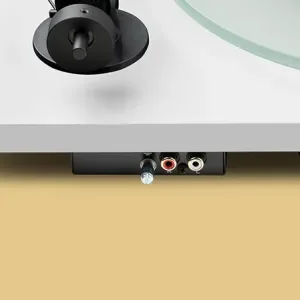 Tilkoblingene på T1 EVO Phono
